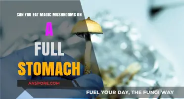 Full Stomach and Magic Mushrooms: Timing Your Psychedelic Experience