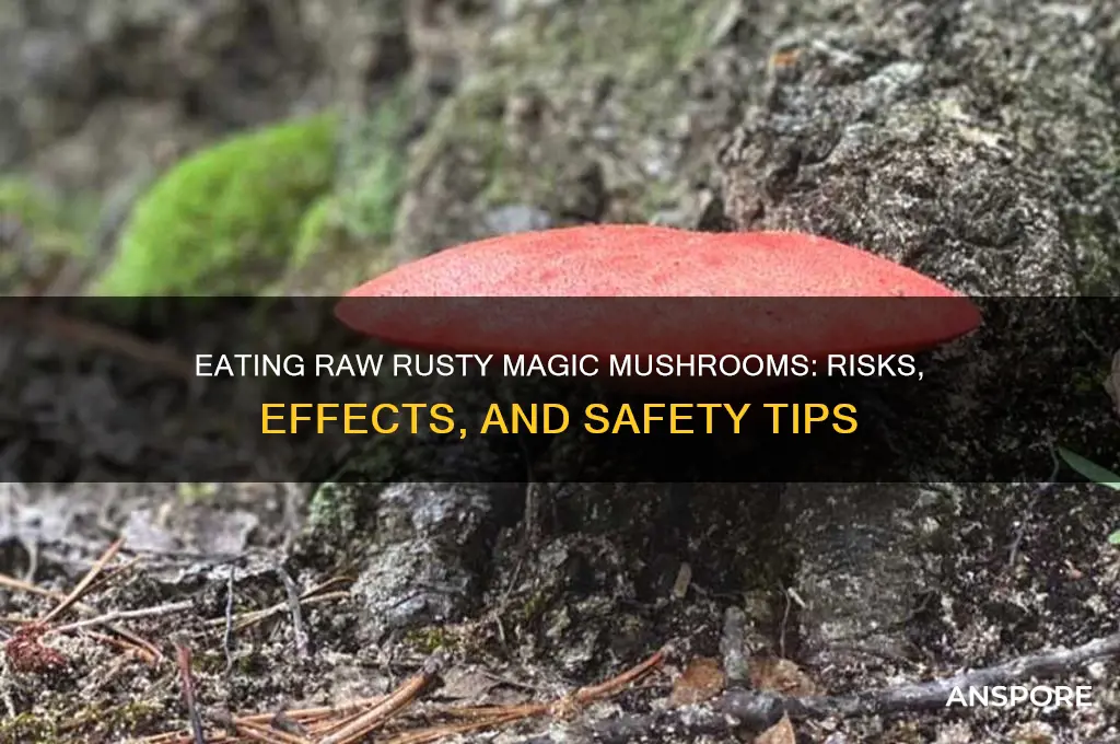 can you eat magic mushrooms plain uncooked rusty caps