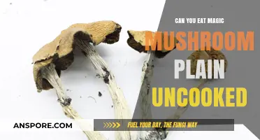 Can You Eat Magic Mushrooms Plain and Uncooked? Facts Revealed