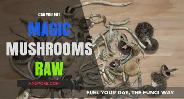 Can You Eat Magic Mushrooms Raw? Risks, Effects, and Safety Tips