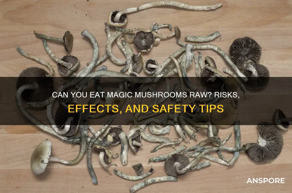 can you eat magic mushrooms raw