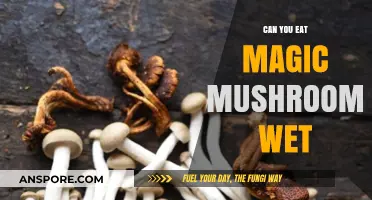 Can You Eat Magic Mushrooms Wet? Risks, Effects, and Safety Tips