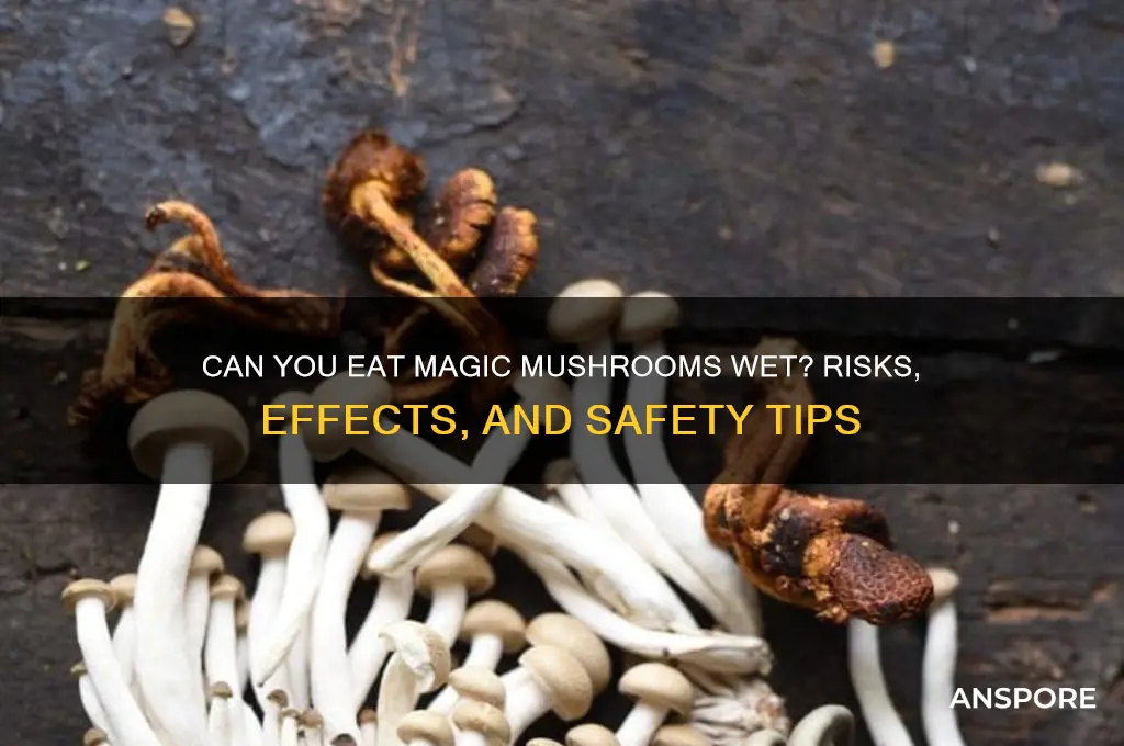 can you eat magic mushrooms wet