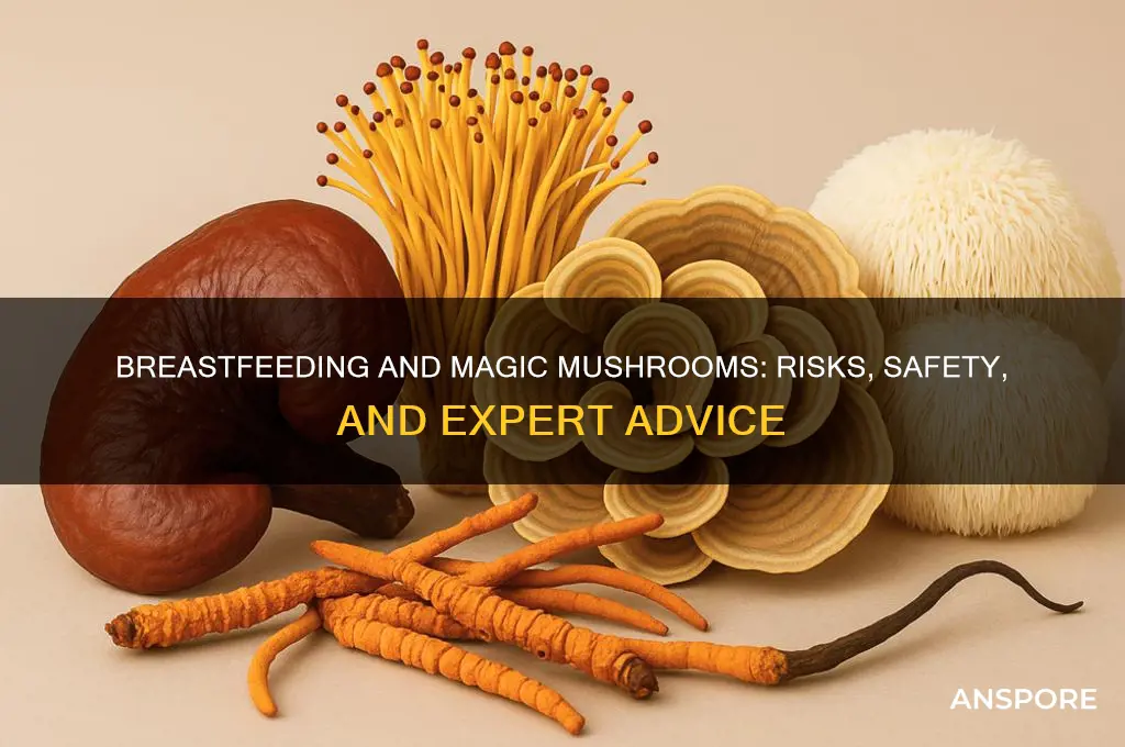 can you eat magic mushrooms while breastfeeding