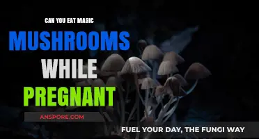 Pregnancy and Psilocybin: Risks of Eating Magic Mushrooms While Expecting