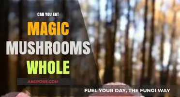 Can You Eat Magic Mushrooms Whole? A Safe Consumption Guide