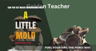 Moldy Magic Mushrooms: Safe to Eat or Risky Business?