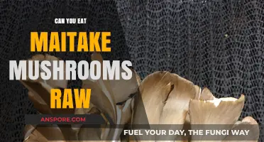 Can You Eat Maitake Mushrooms Raw? A Complete Guide