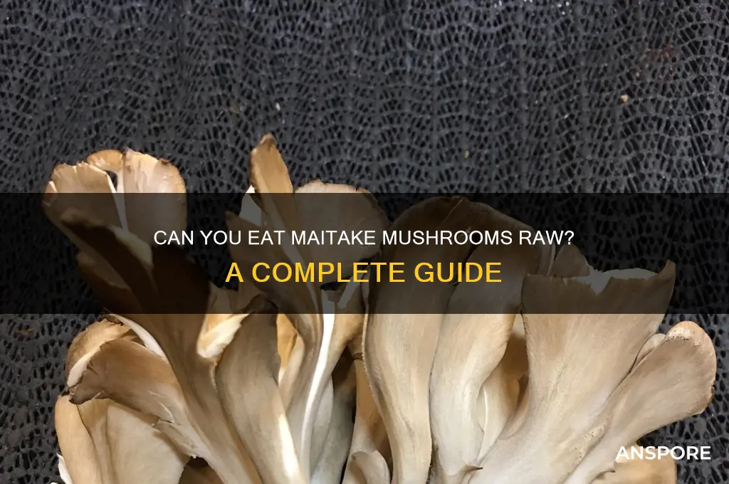 can you eat maitake mushrooms raw