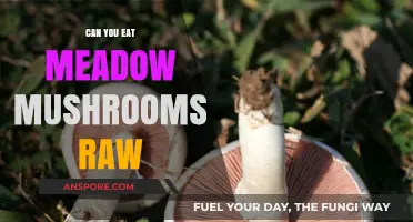 Can You Eat Meadow Mushrooms Raw? Safety and Tips
