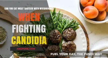 Meat and Mushrooms: Safe Candida Diet Options or Risky Choice?