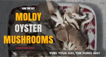 Moldy Oyster Mushrooms: Safe to Eat or Toss Them Out?
