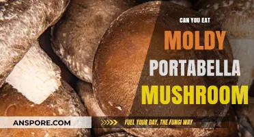 Is It Safe to Eat Moldy Portabella Mushrooms? Risks Explained