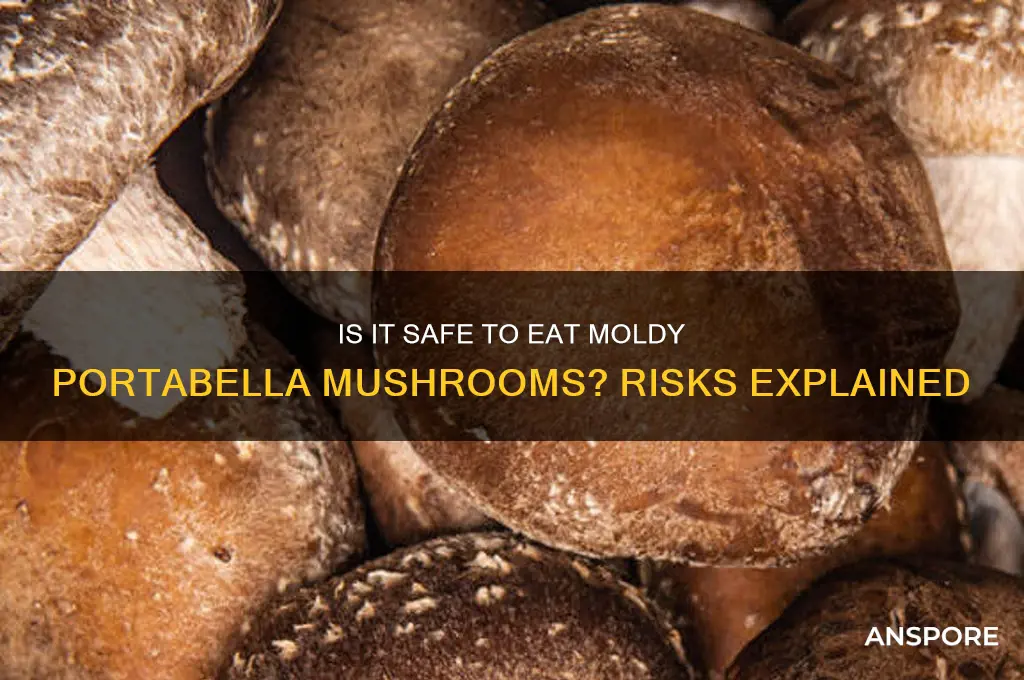 can you eat moldy portabella mushrooms