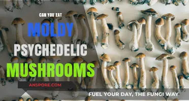 Risky Business: Eating Moldy Psychedelic Mushrooms - Safe or Dangerous?