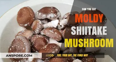 Moldy Shiitake Mushrooms: Safe to Eat or Toss Them Out?