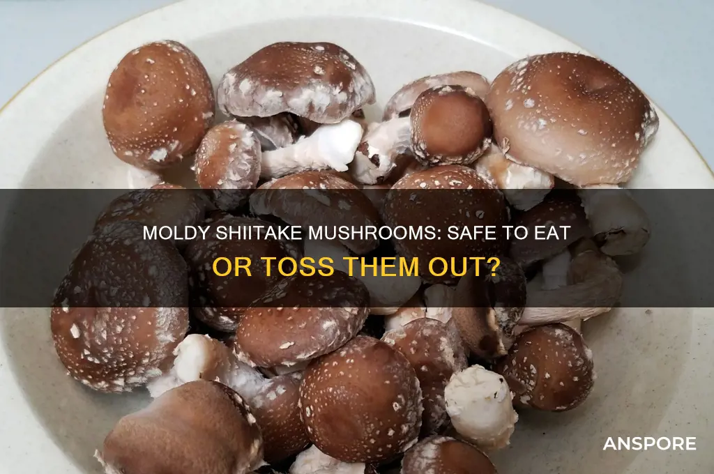can you eat moldy shiitake mushrooms