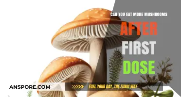 Second Serving Safe? Eating More Mushrooms After Your First Dose