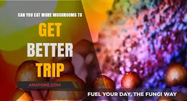 Enhancing Psychedelic Experiences: The Role of Mushroom Dosage in Trips