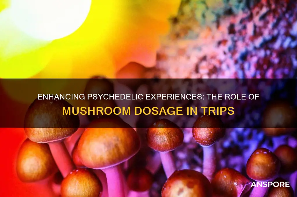 can you eat more mushrooms to get better trip