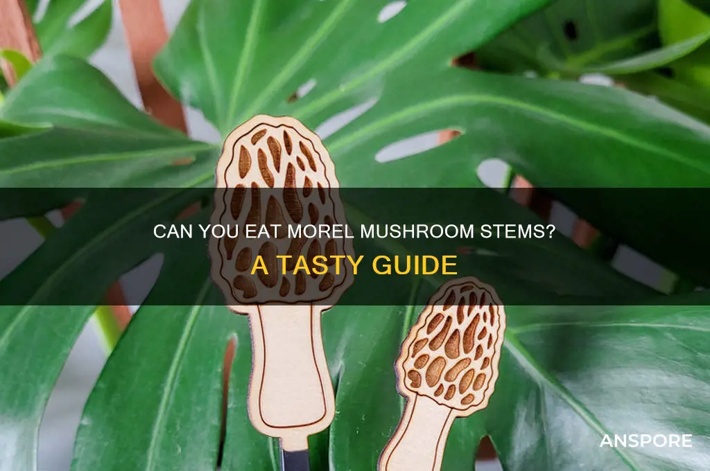 can you eat morel mushroom stems