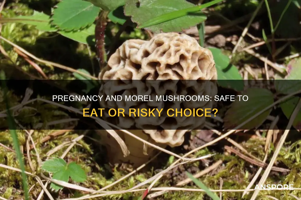can you eat morel mushrooms pregnant
