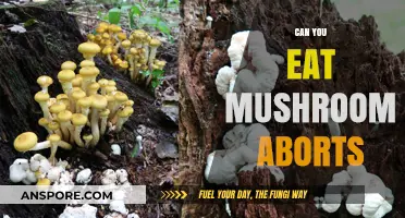 Can You Eat Mushroom Aborts? Safety and Culinary Insights