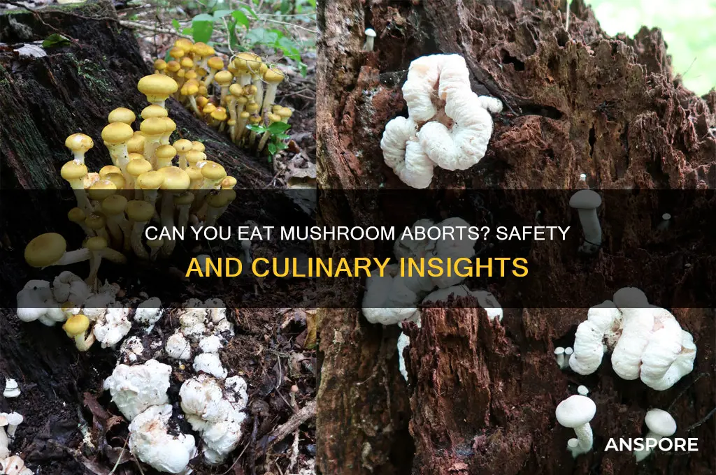 can you eat mushroom aborts