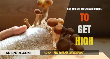 Exploring the Myth: Can Eating Mushroom Bodies Induce a High?