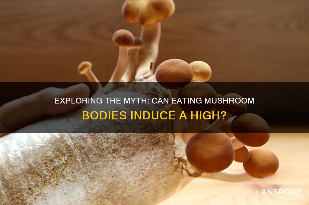 can you eat mushroom bodies to get high