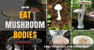 Can You Eat Mushroom Bodies? Exploring Edibility and Culinary Uses