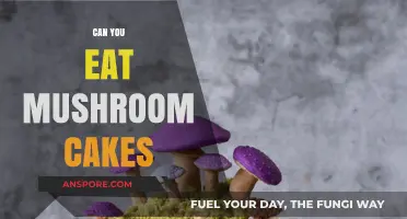 Can You Eat Mushroom Cakes? Exploring Edible Fungi Delights