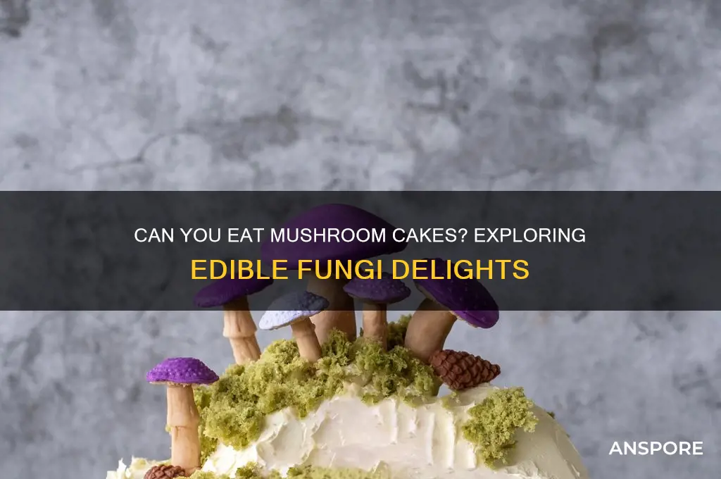 can you eat mushroom cakes