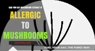 Mushroom Extract Safety: Can Allergy Sufferers Consume It?