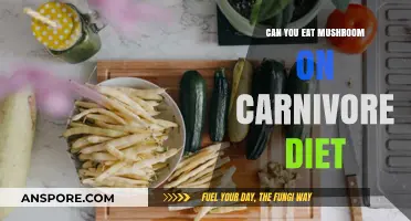 Mushrooms on Carnivore Diet: Are They Allowed or Off-Limits?