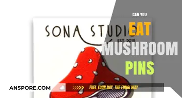 Can You Eat Mushroom Pins? A Guide to Safe Consumption