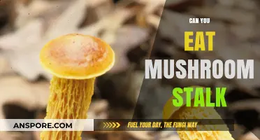 Can You Eat Mushroom Stalk? A Complete Guide to Edibility