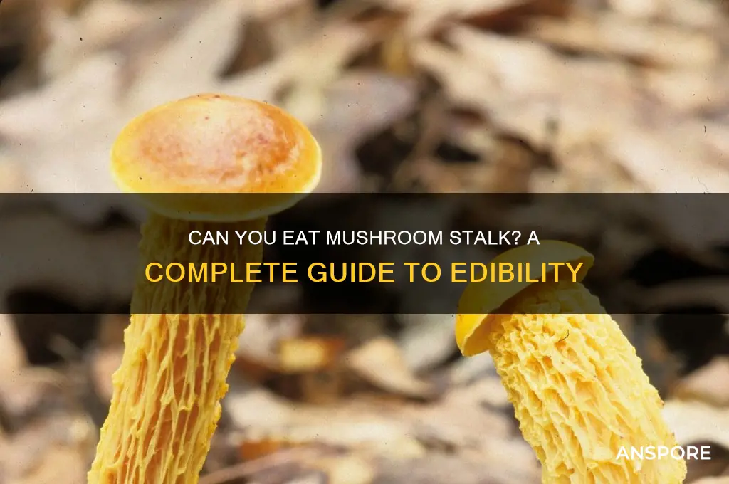 can you eat mushroom stalk