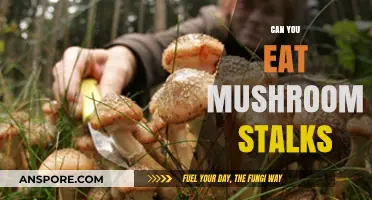 Can You Eat Mushroom Stalks? A Guide to Edible Parts