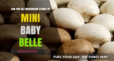 Can You Eat Mushroom Stems of Mini Baby Belles?
