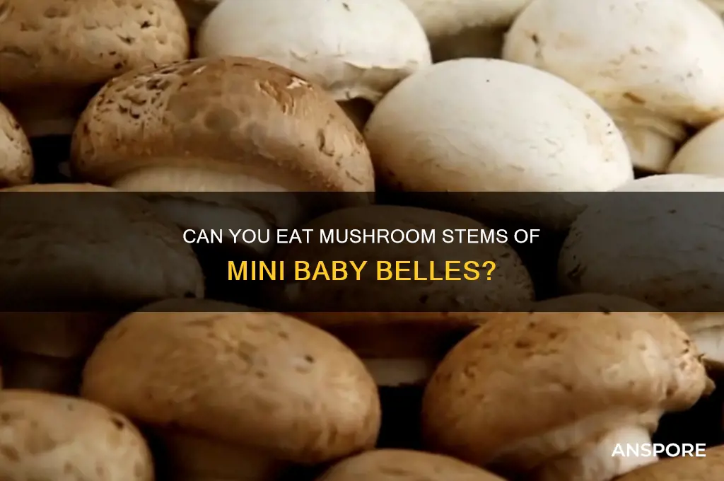 can you eat mushroom stams of mini baby belle