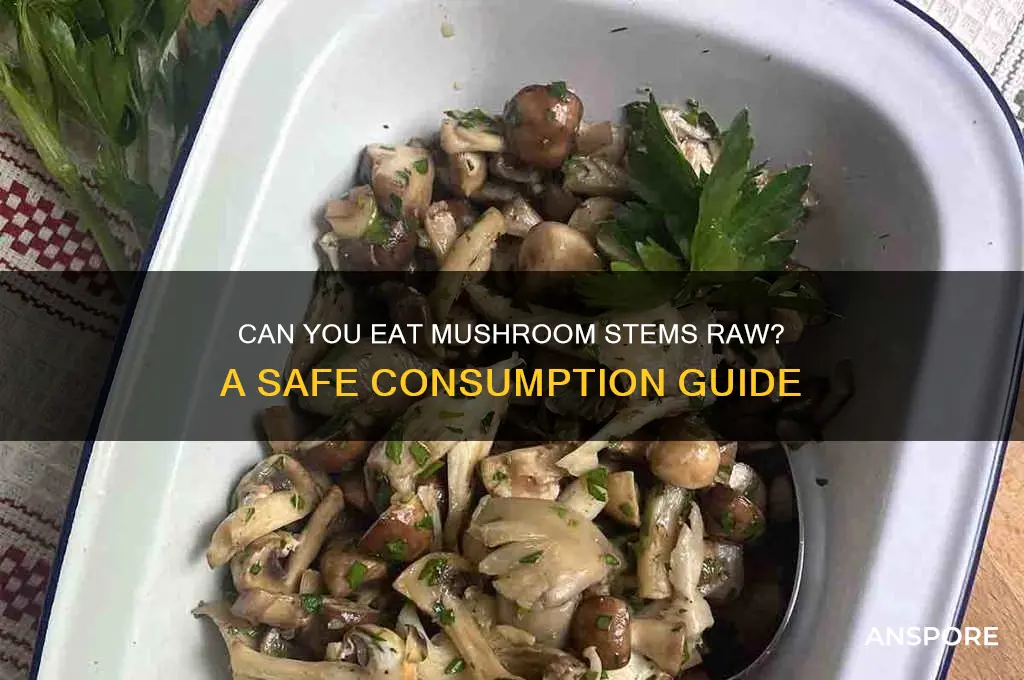 can you eat mushroom stems raw