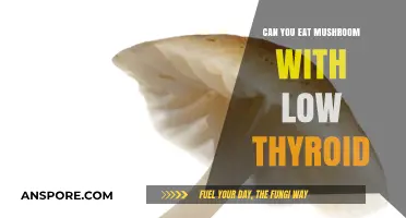 Mushrooms and Hypothyroidism: Safe or Risky for Low Thyroid Function?