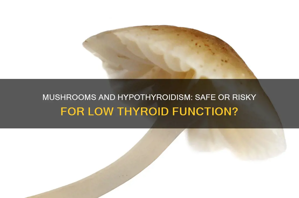 can you eat mushroom with low thyroid