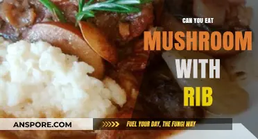 Mushroom and Rib Pairing: A Delicious Culinary Adventure to Try