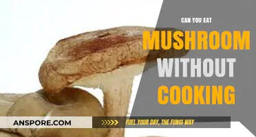 Raw Mushrooms: Safe to Eat or Risky Without Cooking?