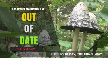 Are Slightly Expired Mushrooms Safe to Eat? A Quick Guide