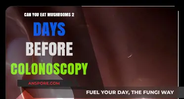 Mushrooms Before Colonoscopy: Safe or Risky 2 Days Prior?