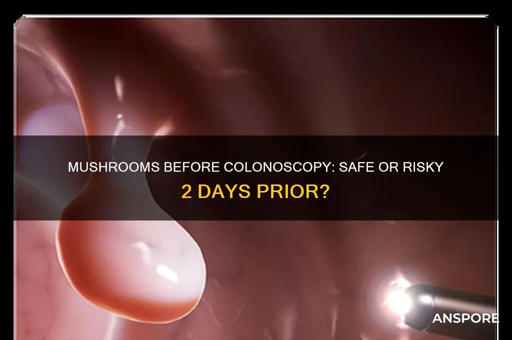 can you eat mushrooms 2 days before colonoscopy