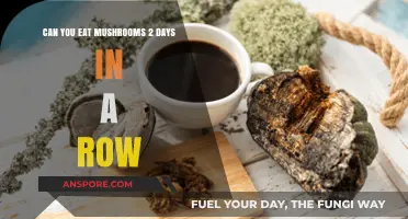 Eating Mushrooms Consecutively: Safe or Risky for Daily Consumption?